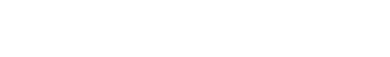 Projekterfolg-Logo